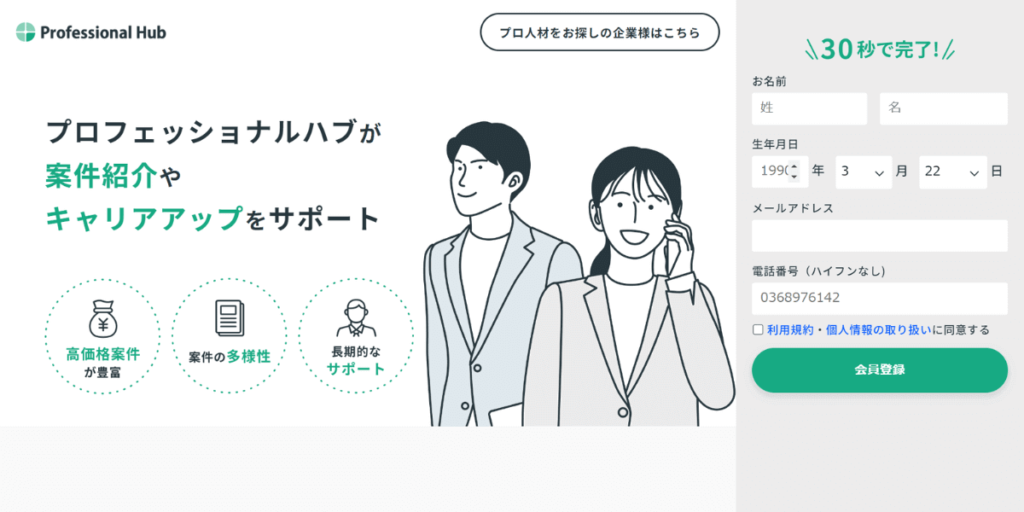 プロフェッショナルハブのウェブサイト画像